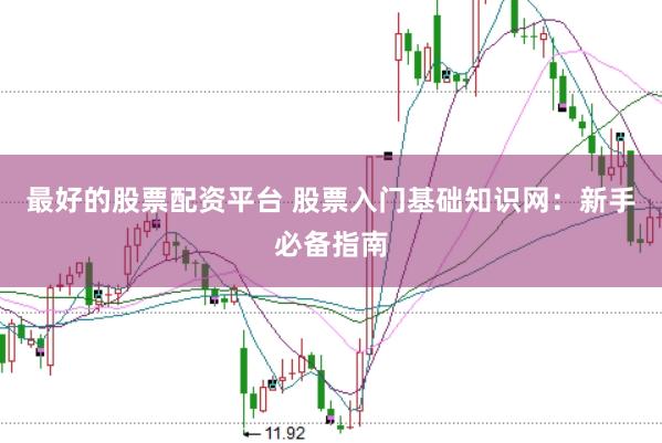 最好的股票配资平台 股票入门基础知识网：新手必备指南