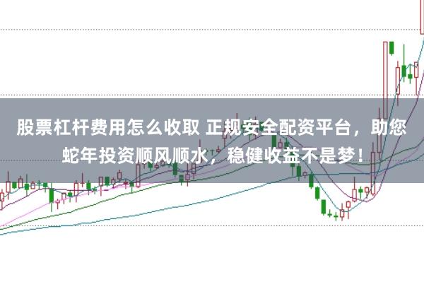 股票杠杆费用怎么收取 正规安全配资平台，助您蛇年投资顺风顺水，稳健收益不是梦！