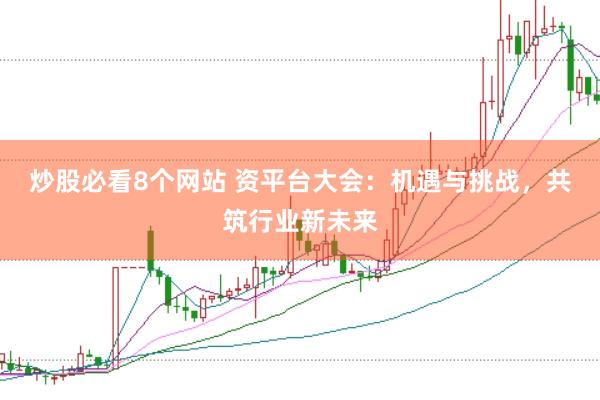 炒股必看8个网站 资平台大会：机遇与挑战，共筑行业新未来