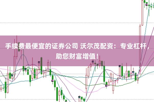 手续费最便宜的证券公司 沃尔茂配资：专业杠杆，助您财富增值！