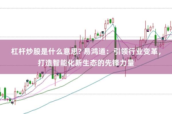 杠杆炒股是什么意思? 易鸿道：引领行业变革，打造智能化新生态的先锋力量