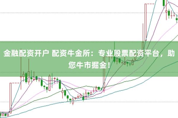 金融配资开户 配资牛金所：专业股票配资平台，助您牛市掘金！