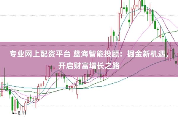 专业网上配资平台 蓝海智能投顾：掘金新机遇，开启财富增长之路