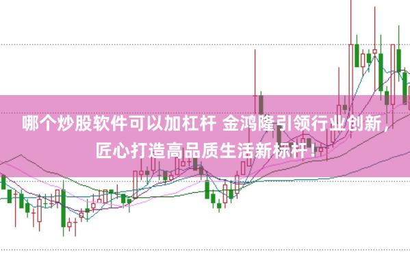 哪个炒股软件可以加杠杆 金鸿隆引领行业创新，匠心打造高品质生活新标杆！