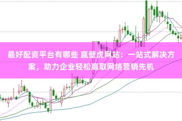 最好配资平台有哪些 赢壁虎网站：一站式解决方案，助力企业轻松赢取网络营销先机
