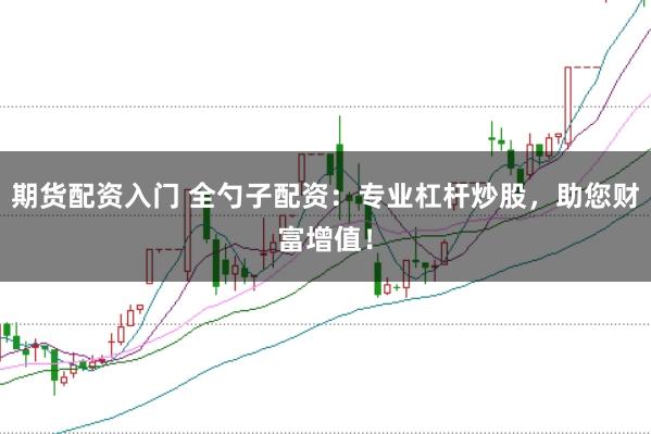 期货配资入门 全勺子配资：专业杠杆炒股，助您财富增值！