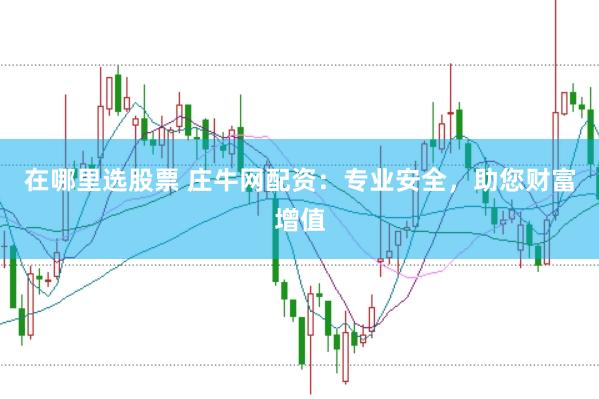 在哪里选股票 庄牛网配资：专业安全，助您财富增值
