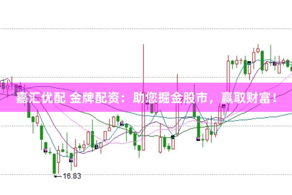 嘉汇优配 金牌配资：助您掘金股市，赢取财富！