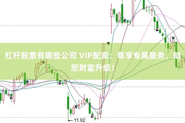 杠杆股票有哪些公司 VIP配资：尊享专属服务，助您财富升级！