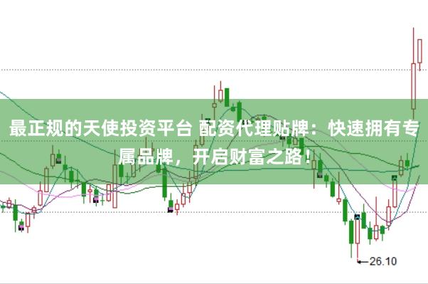 最正规的天使投资平台 配资代理贴牌：快速拥有专属品牌，开启财富之路！