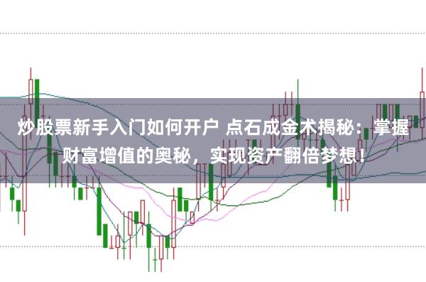 炒股票新手入门如何开户 点石成金术揭秘:掌握财富增值的奥秘,实现资产翻倍梦想!