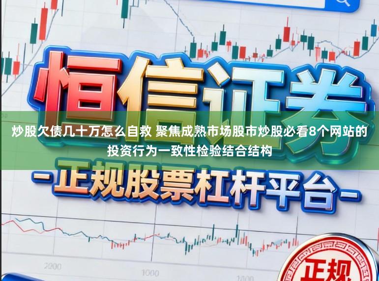 炒股欠债几十万怎么自救 聚焦成熟市场股市炒股必看8个网站的投资行为一致性检验结合结构