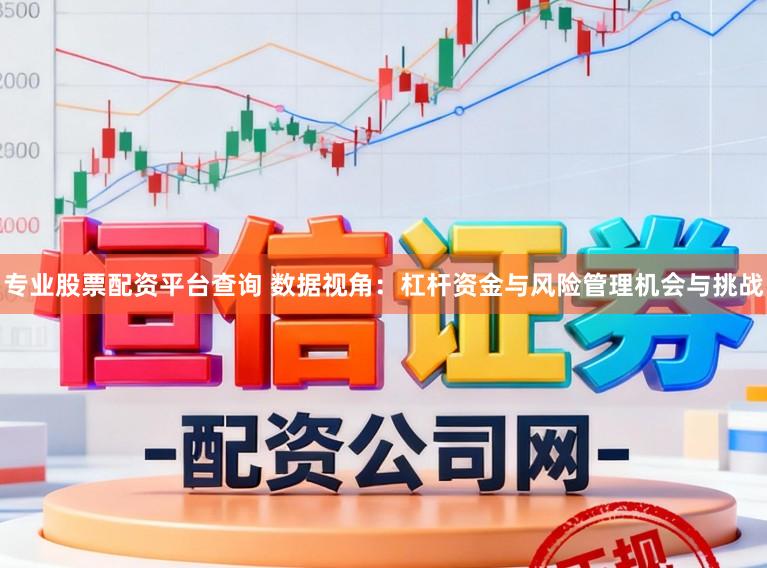 专业股票配资平台查询 数据视角：杠杆资金与风险管理机会与挑战