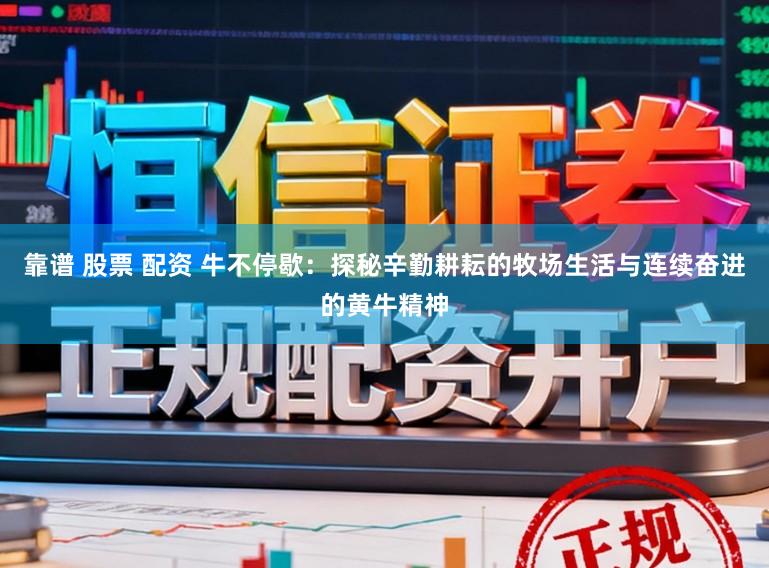 靠谱 股票 配资 牛不停歇：探秘辛勤耕耘的牧场生活与连续奋进的黄牛精神